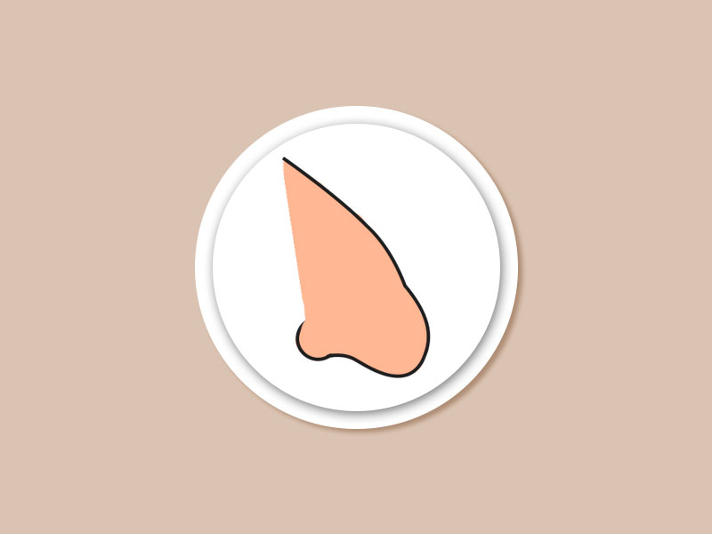 Ilustração com o formato de nariz de tucano 