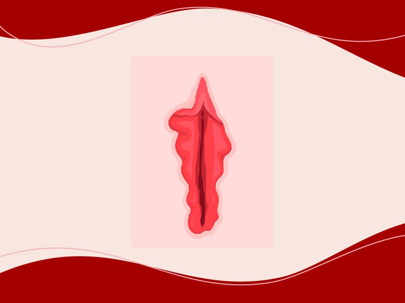 ilustração com pequenos lábios assimétricos, onde uma parte é irregular e maior que a outra