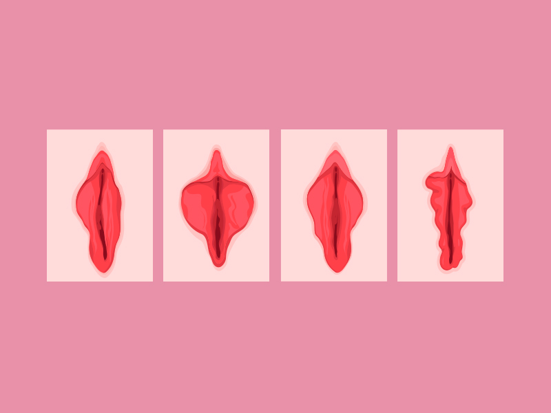 O que são os pequenos lábios? pequenos labios