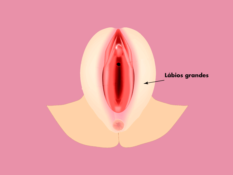 O que são os grandes lábios? labios grandes