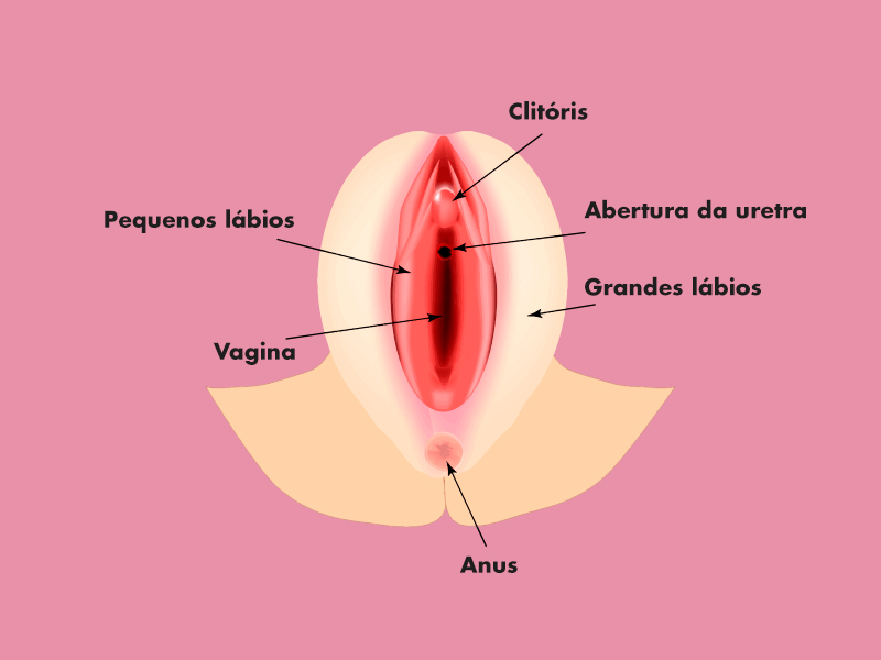 cirurgia vagina