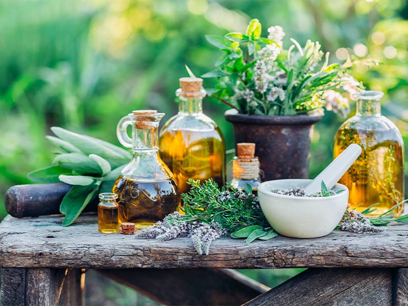 Plantas e tratamentos naturais em cima de mesa de madeira, para eliminar lipoma naturalmente com remédios caseiros
