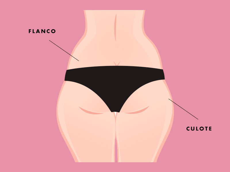 ilustração mostrando onde ficam os flancos e culote