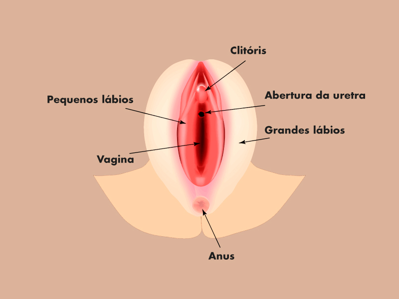 Tipos de cirurgias na região íntima perineo feminino