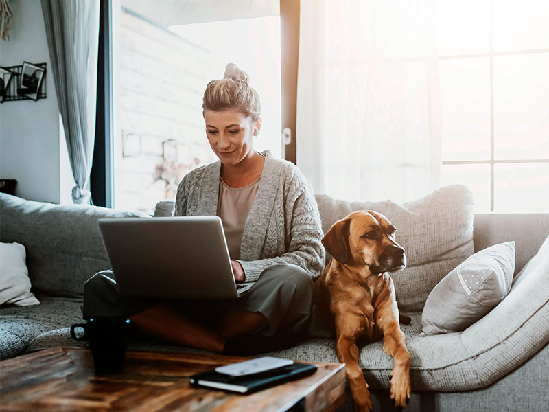 Mulher sentada no sofá, ao lado de cachorro, pesquisando no notebook como tirar cicatriz