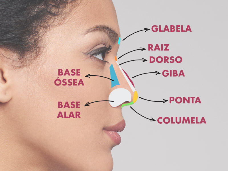 Imagem descrevendo toda a parte externa nariz por regiões (glabela, raiz, dorso, giba, ponta, columela, base óssea e base alar)