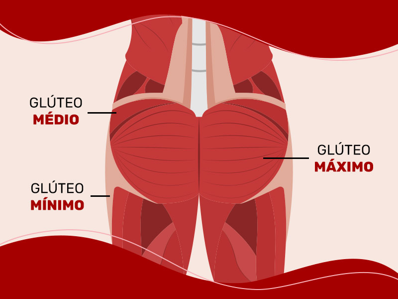Ilustração mostrando a anatomia dos glúteos com destaque para a região do glúteo mínimo, glúteo médio e glúteo máximo.