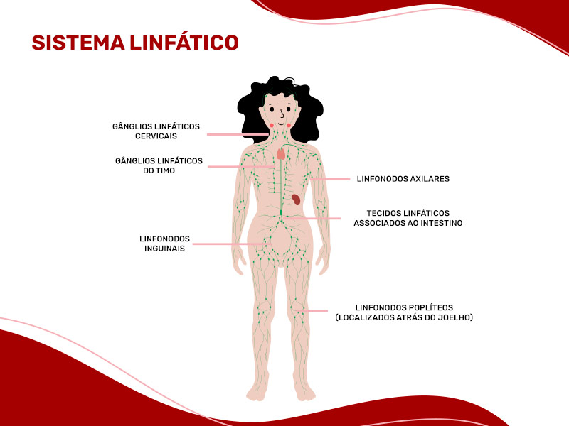 Ilustração que mostra como o sistema linfático funciona no corpo